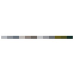 Karin Grey Colors Collection 12 colors Pigment Decobrush